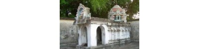 219. திருத்தினைநகர்